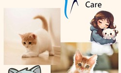Cat age by teeth : A Comprehensive Guide to Cat Teeth Care