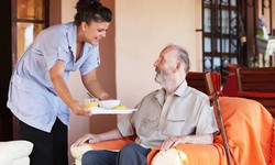 Caring Companions: Enhancing the Lives of the Elderly with Companion Care Services