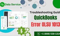 Demystifying QuickBooks Error OLSU 1013: Causes, Solutions, and Prevention