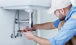 Proactive Plumbing: Making Informed Choices for a Sustainable Future