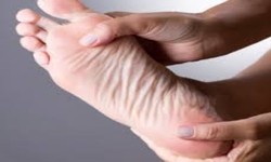 Navigating Care with a Foot Doctor in St. Clair Shores, MI, and Podiatrist in Macomb, MI