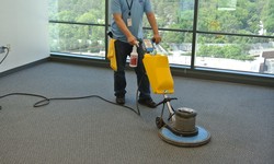 How to Choose the Right Rug Cleaning Method in Pinkenba