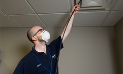 What signs indicate that it's time for air duct sanitizing?