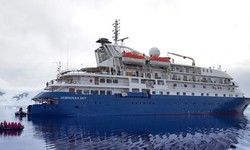 Some ideas to know about a Cruise before choosing Antarctica Tours 2024