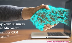 Why Your Business Need Microsoft Dynamics CRM System ?