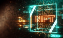 From Concept to Completion: Exploring the Versatility of a Top NFT Development Company's Services