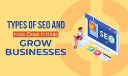 Types of SEO and How Does It Helps Grow Business