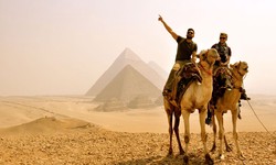Why are group tours the secret to unforgettable adventures?