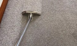 Give Your Carpets Sparkling Shine with Professional Carpet Cleaning in Werribee