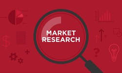 A Comprehensive Guide to Choosing the Right Market Research Company
