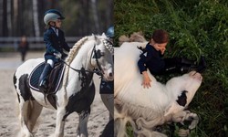 Angel's Lusitano Legacy: Albino Stallion's Impact on Ekaterina's Herd