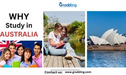 Unlocking Opportunities: A Guide to Studying in Australia