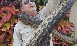 Snake Removal Cairns