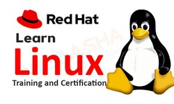 Dive into the World of Linux Class in Mumbai