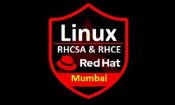 IT Professionals: Elevate Your Skills with Linux Training in Mumbai