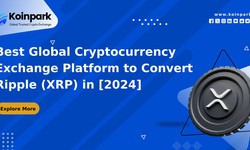 Best Global Cryptocurrency Exchange Platform to Convert Ripple (XRP) in [2024]