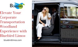 Elevate Your Corporate Transportation Woodland Experience with Bluebird Limos