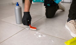 Where can you find tile and grout cleaners in Adelaide?