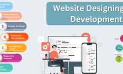 Website development company in lucknow