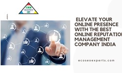 Elevate Your Online Presence with the Best Online Reputation Management Company India
