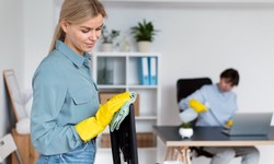 Conquering the Dirt and Dust: A Guide to Professional Cleaning Services