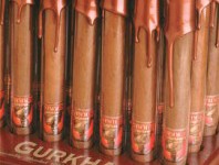Embark on an Exquisite Journey: Discovering the World's Most Luxurious Cigar