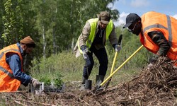 Environmental Remediation in Washington: Preserving Nature's Balance