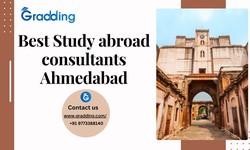 Navigating Global Education: The Role of Study Abroad Consultants in Ahmedabad