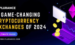 7 most  famous variants of crypto exchanges in 2024 - A detailed view