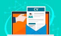 Niche CVs: Crafting a Resume for Specialized Industries