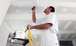 Enhance Your Space with Trusted Professional Painters in Chicago