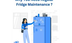 Keeping it Cool: Explore Why You Need Regular Fridge Maintenance