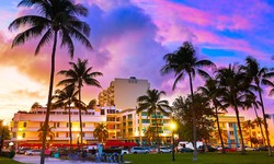 5 Fun Things to Do in Miami 2024