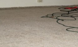 What to Expect From All Colors Carpet Cleaning, Our Best Carpet Cleaning Deals