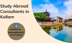 Navigating Global Education: Study Abroad Consultants in Kollam
