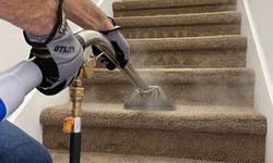 Restore Brilliance: Deep Carpet Cleaning Techniques