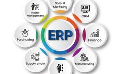 "ERP and Business Intelligence: Turning Data into Insights by Technothinksup Solutions"