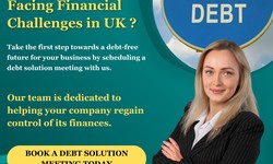 Debt Solutions Made Easy with Acme Credit Consultants Expert Debt Management