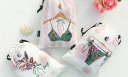 Elevate Your Valentine's Day Gifts: Chic Lingerie Bags from TheStyleSalad