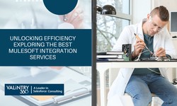 Unlocking Efficiency Exploring the Best Mulesoft Integration Services