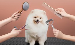 A Useful Guide to Dog Grooming in the Winter Season