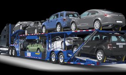 "Preserving Prized Possessions: Optimal Security with Best Way Auto Transport LLC's Enclosed Auto Transport Service"