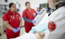 Exploring Nursing Programs in Florida: A Gateway to Healthcare Excellence