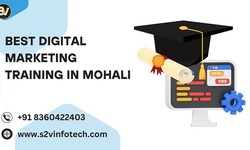 Best digital marketing institute in Mohali s2vinfotech| SEO Institute