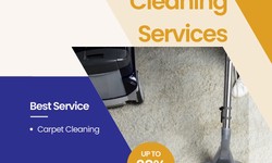 Revitalize Your Home with Professional Carpet Cleaning in Hurstville