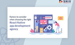 Factors to Consider When Choosing the Right React Native App Development Agency