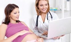The Vital Role of Gynaecologists in Women's Healthcare