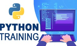 Python Programming Essentials: Building a Solid Foundation