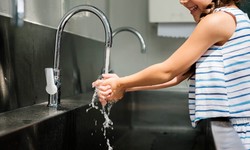 How to Identify the Best Hot Cold and Sparkling Water Tap Sydney?
