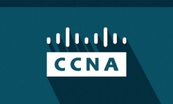 Get Your CCNA Certification Down Under A Guide for Aussies